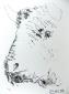 Marge du Buffon. Planche X. Tête de taureau, litografia d'après a tiratura limitata, cm 33x42