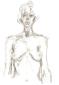 Alberto Giacometti, Busto di donna nuda (1961), litografia originale, mm 280x380, euro 250