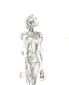 Alberto Giacometti, Nude (1961), litografia originale, mm 280x380, euro 250