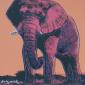 Andy Warhol (after), African Elephant (1983), litografia a colori, tiratura limitata (ed. 500 es.), numerata a matita, firmata in lastra, timbro a secco CMOA, cm 50x50