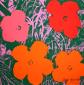 Andy Warhol (after), Flowers, litografia a colori, numerata a matita (ed. 2400 es.), firmata in lastra, cm 60x60 b