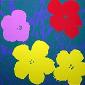 Andy Warhol (after), Flowers, serigrafia a colori edita da Sunday B. Morning, cm 91,5x91,5 b