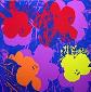 Andy Warhol (after), Flowers, serigrafia a colori edita da Sunday B. Morning, cm 91,5x91,5 c