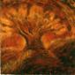 La terra trema (2003), cm 100x100