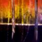 Charaka Simoncelli, Bamboo 3, olio su tela, cm 100x100