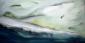 Laura Bottaro, Balena bianca che fugge (2008), olio su tela, cm 120x60