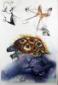 09. Salvador Dalí, Alice in Wonderland. The mock turtle's story (La storia della finta tartaruga)