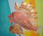 Kat Elagina, Sea robin (2014), acrilico su tela, cm 60x50