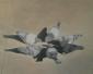Lisa Ikerd-Carradine, Pigeons in symmetry (2011), acrilico su tela, cm 75x60