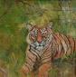 Maria Zimari, Tigre (2009), olio su tela, cm 40x40