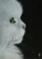 Ingeborg Saes, Snow White (2011), acrilico su tela, cm 50x70
