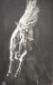 Gianmario Quagliotto, Libero, olio su tela, cm 70x100
