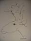 Pablo Picasso, Marge du Buffon. Planche XVI. Le cerf, litografia d'après a tiratura limitata, cm 33x42