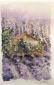 Colori di Provenza (Francia) (2001), acquerello, cm 30x40