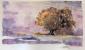 Luci di Provenza (Francia) (2001), acquerello, cm 48x36