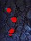 Violino Mantieco, Materia nera con tre crateri rossi (2021), smalto acrilico, fibre di plastica e polimetilmetacrilato, cm 60x80