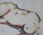 Francesca Ruiz de Ballesteros, Nudo (2010), tecnica mista su carta, cm 35x50