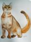 Jayne Ellis, Abyssinian Brown Cat (2018), acquerello su carta, cm 40,8x50