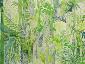 Beate Kulina, Tropical Rainforest (2013), acquerello, cm 65x50