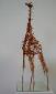 Frans Frengen, Giraf (Giraffa) (2013), vernice, fiammiferi, cm 13x12x39