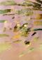 Koichiro Kojima, Physis 19 (2020-21), fotografia, cm 51,5x72,8