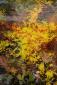 Joy Moore, A Sunny Day in Autumn (2021), acrilico su carta, cm 20x29