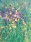 Joy Moore, Fiori selvatici in primavera in Piemonte (2018), acrilico su tela, cm 60x80