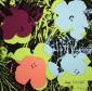Andy Warhol (after), Flowers, litografia a colori, numerata a matita (ed. 2400 es.), firmata in lastra, cm 60x60 a