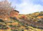 Autunno in Langa, olio su tela, cm 40x30