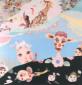Jack sale in cielo (2000), tecnica mista su masonite, cm 50x50