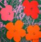 Andy Warhol (after), Flowers, litografia a colori, numerata a matita (ed. 2400 es.), firmata in lastra, cm 60x60 b