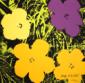 Andy Warhol (after), Flowers, litografia a colori, numerata a matita (ed. 2400 es.), firmata in lastra, cm 60x60 d