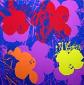Andy Warhol (after), Flowers, serigrafia a colori edita da Sunday B. Morning, cm 91,5x91,5 c