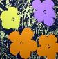 Andy Warhol (after), Flowers, serigrafia a colori edita da Sunday B. Morning, cm 91,5x91,5 d
