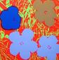 Andy Warhol (after), Flowers, serigrafia a colori edita da Sunday B. Morning, cm 91,5x91,5 f