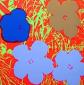 Andy Warhol (after), Flowers, serigrafia a colori edita da Sunday B. Morning, cm 91,5x91,5 f