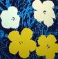 Andy Warhol (after), Flowers, serigrafia a colori edita da Sunday B. Morning, cm 91,5x91,5 i