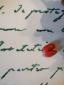 20. Piatto La lettre (part. 1)