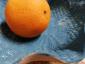 26. Piatto blu (part. 1)