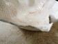 29. Piatto beige (part. 12)