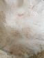 29. Piatto beige (part. 13)
