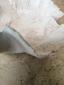29. Piatto beige (part. 14)