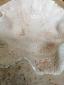 29. Piatto beige (part. 15)