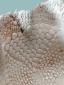29. Piatto beige (part. 2)