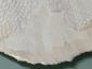 33. Piatto con riflessi beige e viola (part. 4)
