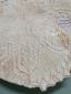 34. Piatto con riflessi beige e viola (part. 4)