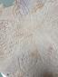 34. Piatto con riflessi beige e viola (part. 9)