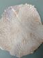 34. Piatto con riflessi beige e viola con cristallina, a secondo fuoco, diametro cm 28 - 40 euro