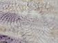 35. Piatto con riflessi beige e viola (part. 1)