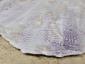 35. Piatto con riflessi beige e viola (part. 3)